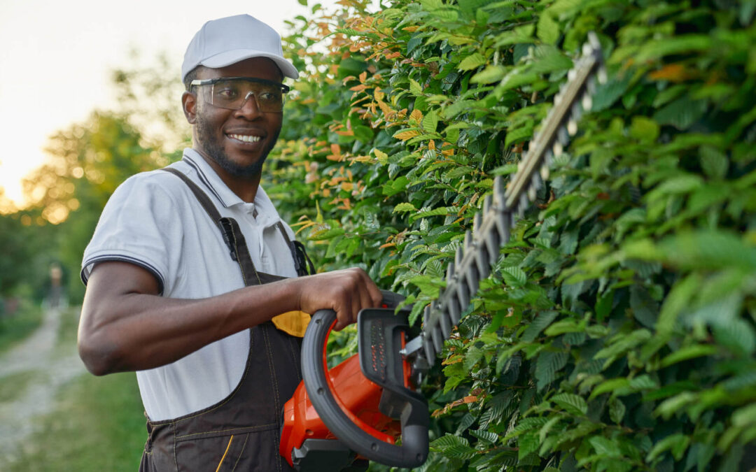 3 Dicas para Manter seu Máquinário de Jardinagem Sempre em Perfeito Funcionamento!
